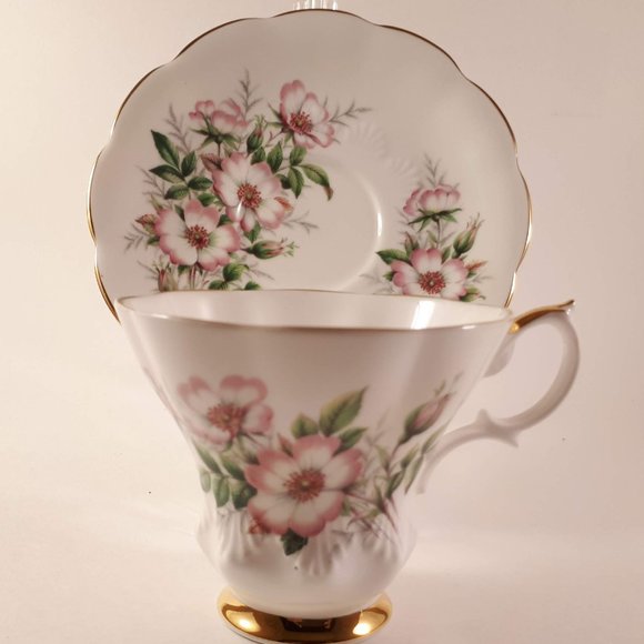 Vintage RARE Alberta Wild rose by Royal Albert teacup and saucer - Picture 1 of 9